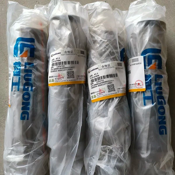 Garanti edilen Enerji Madencilik Filtresi Patron 12D0742 Liugong için Petrol Filtresi Motor Parçası